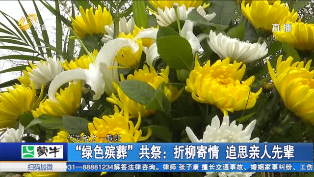“绿色殡葬”共祭：折柳寄情 追思亲人先辈